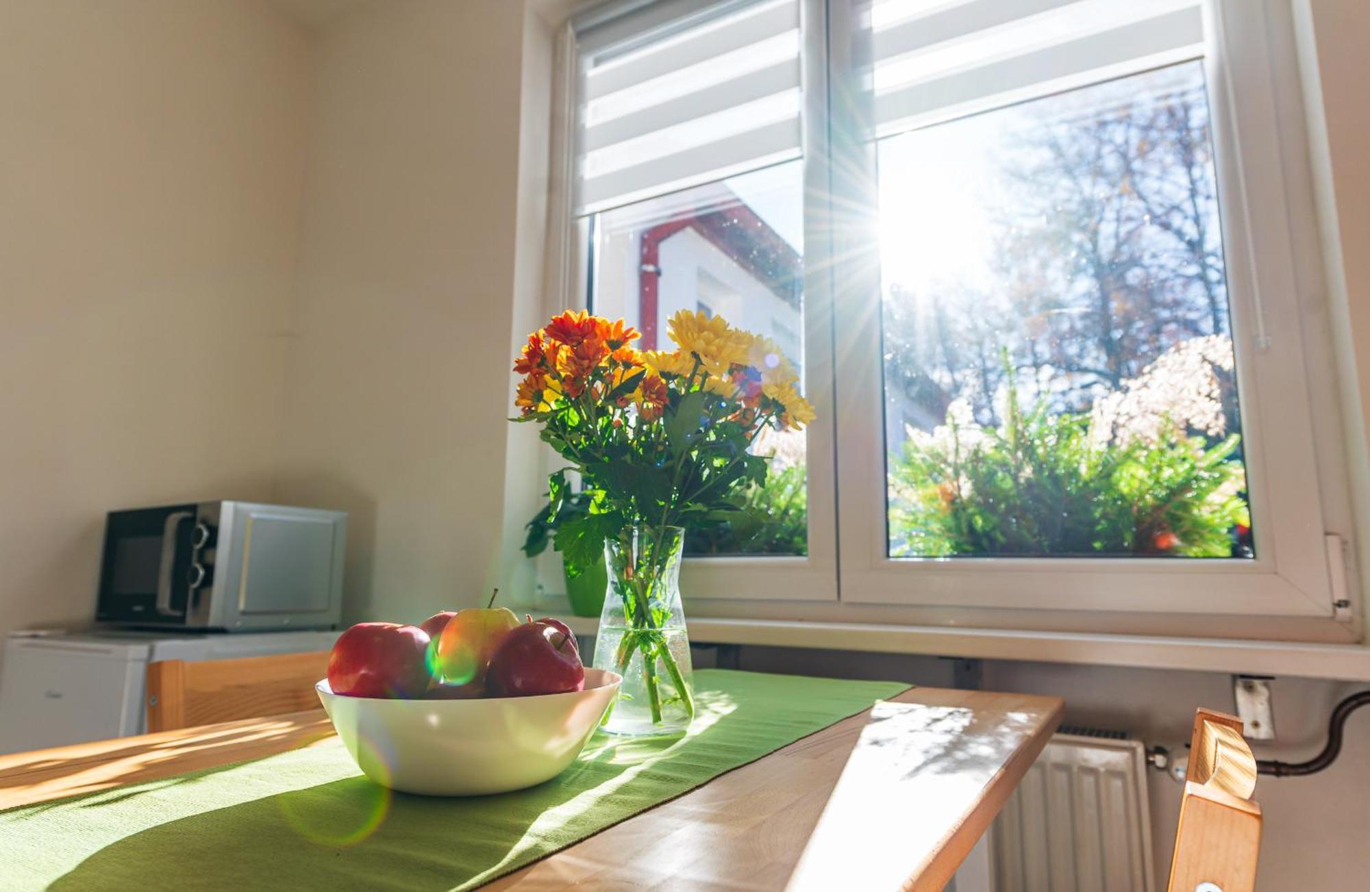 Ubytovani Na Samote - Apartman U Tesaru Komarice Экстерьер фото